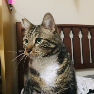 Meet your Posher, Kikyah